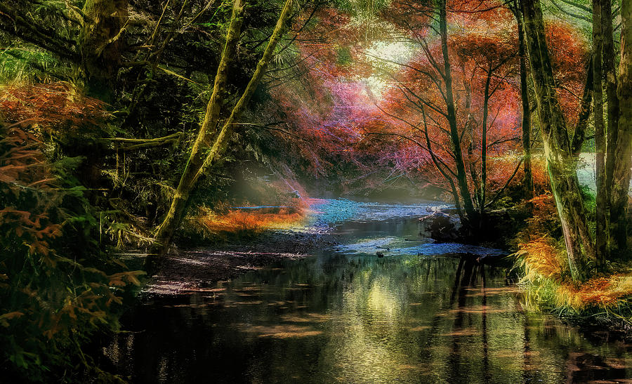 Autumn Vibrant Stream Photograph by Bill Posner