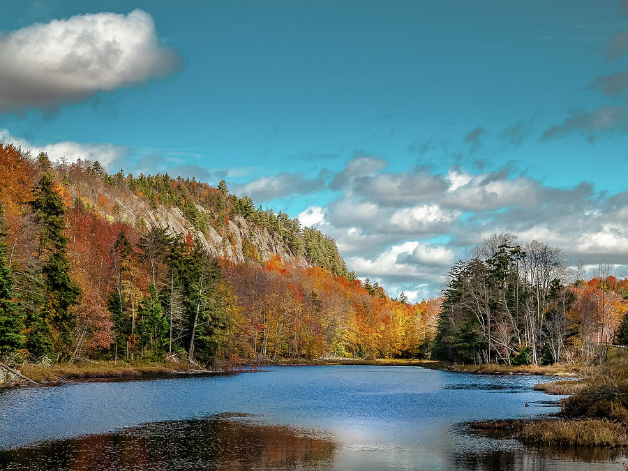 Autumn View at the Pond Photograph by David Patterson