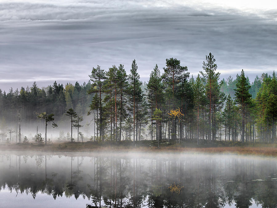 Autumn view from Saari-Soljanen Photograph by Jouko Lehto