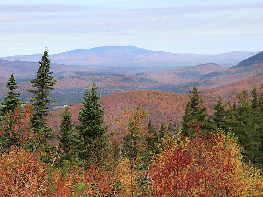 Autumn View from Whiteface Mountain Photograph by Lori Deiter