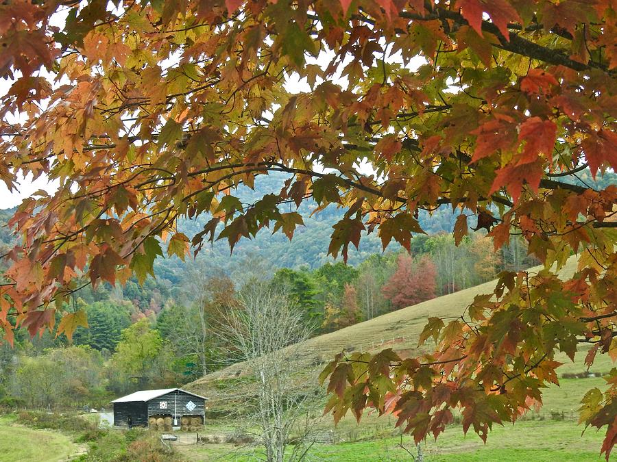  Autumn View Photograph by Kathy Chism