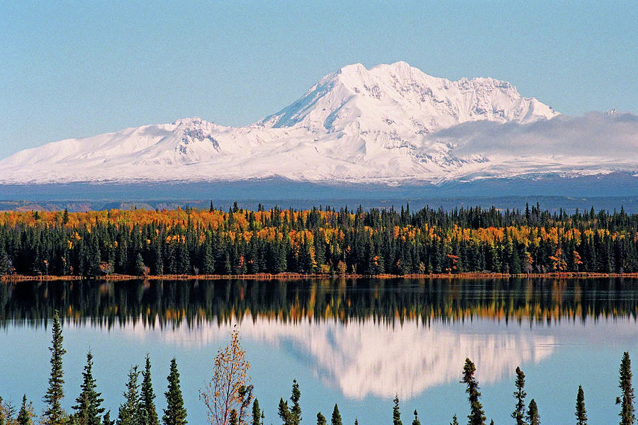 Autumn View of Mt. Drum - Alaska Photograph by Juergen Weiss