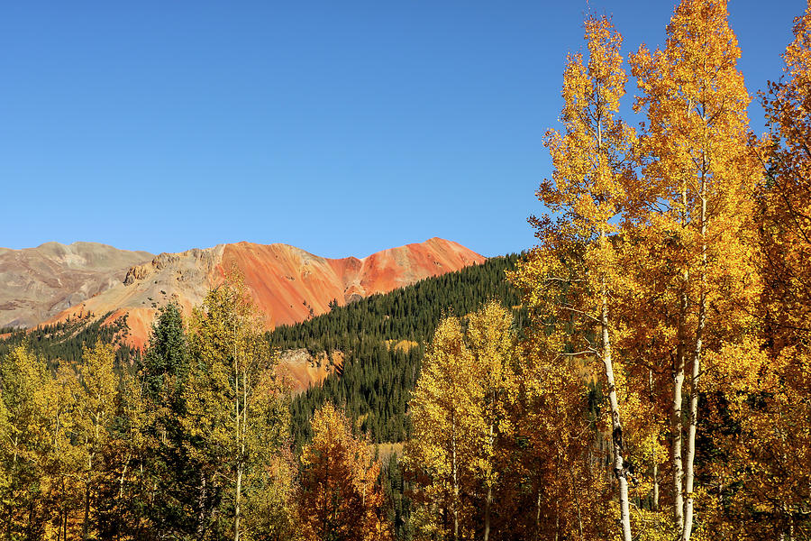 Autumn View of Red Mountain Photograph by Dawn Richards