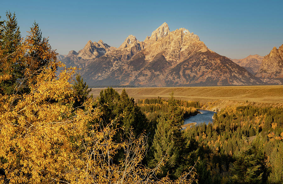 Autumn View Of The Tetons Snake River Photograph by Dan Sproul