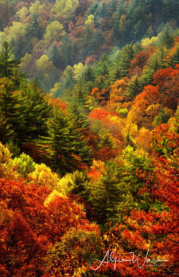 Autumn Vista Photograph