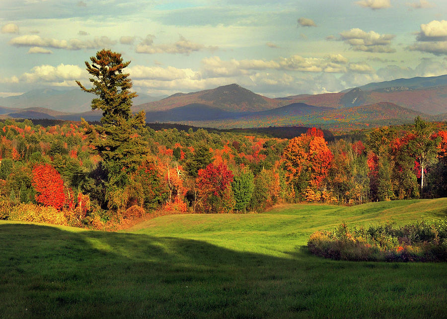 Autumn Vista View In Vermont Photograph by Nancy Griswold