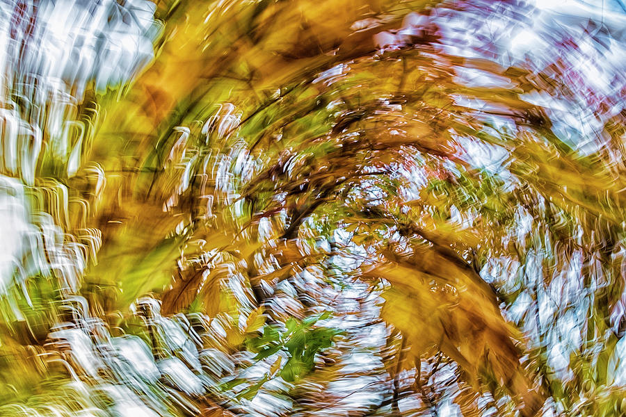 Autumn Vortex Photograph by Steve Sullivan