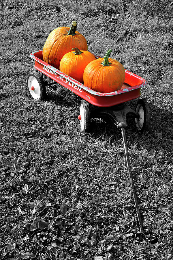 Autumn Wagon Black and White Photograph by Luke Moore
