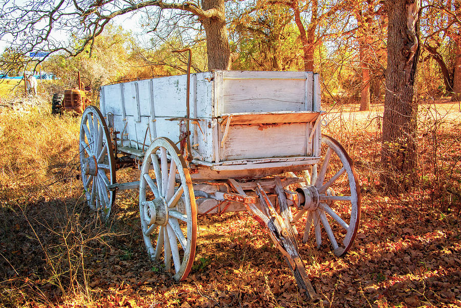 Autumn Wagon in the Hill Country Photograph by Lynn Bauer