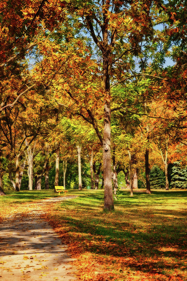Autumn Walk at Walnut Grove Park Photograph by Nikolyn McDonald