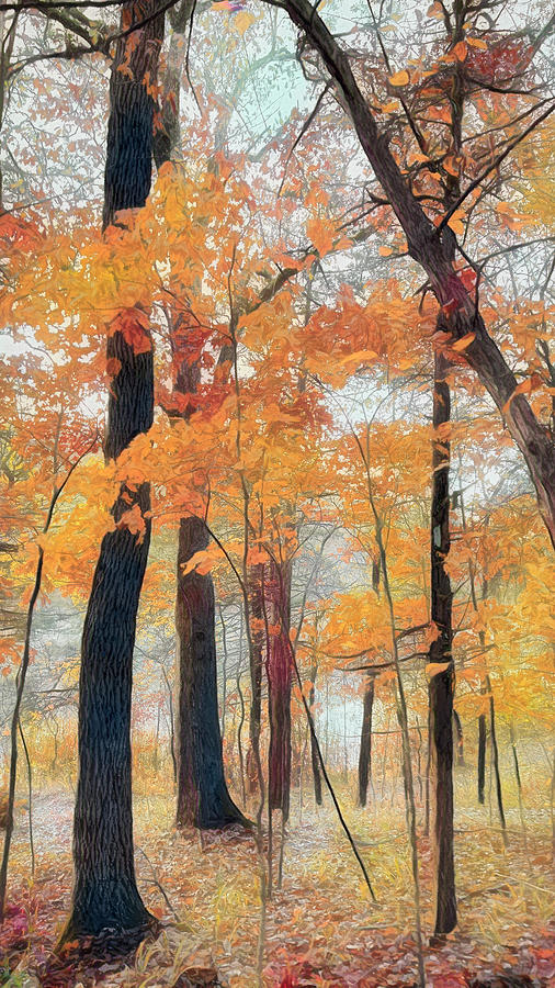 Autumn Walk In The Woods Mixed Media by Ann Powell