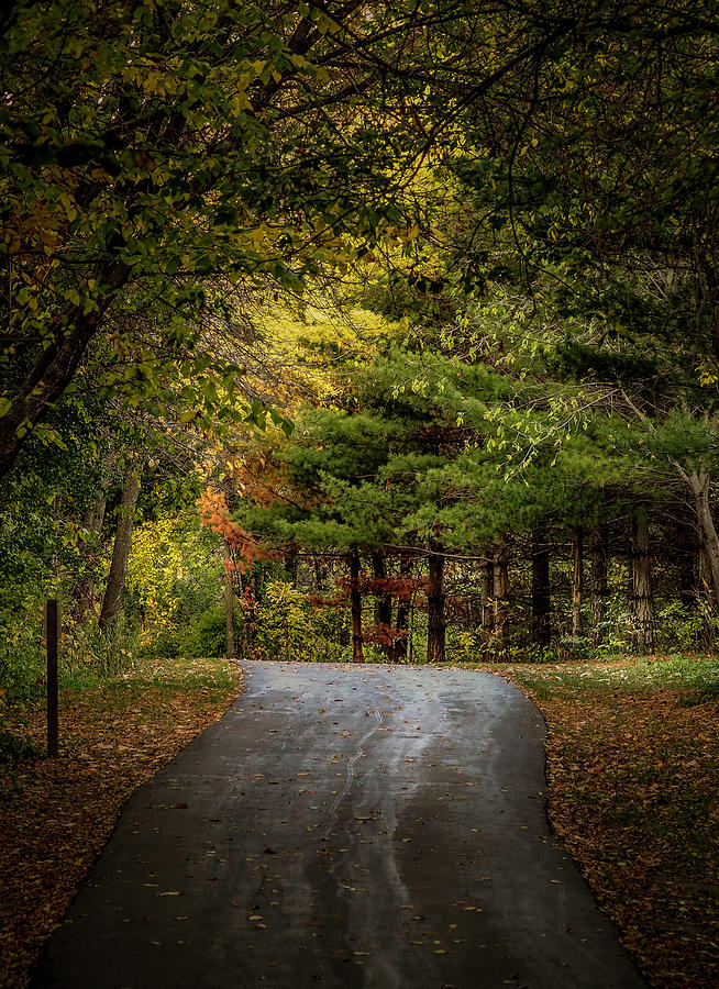 Autumn Walk Photograph by Kelly Larson