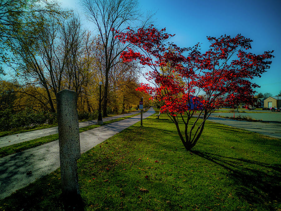 Autumn Walkway Photograph by Danny Mongosa
