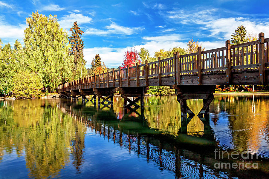 Drake Park Bend Oregon Art Photograph by David Millenheft