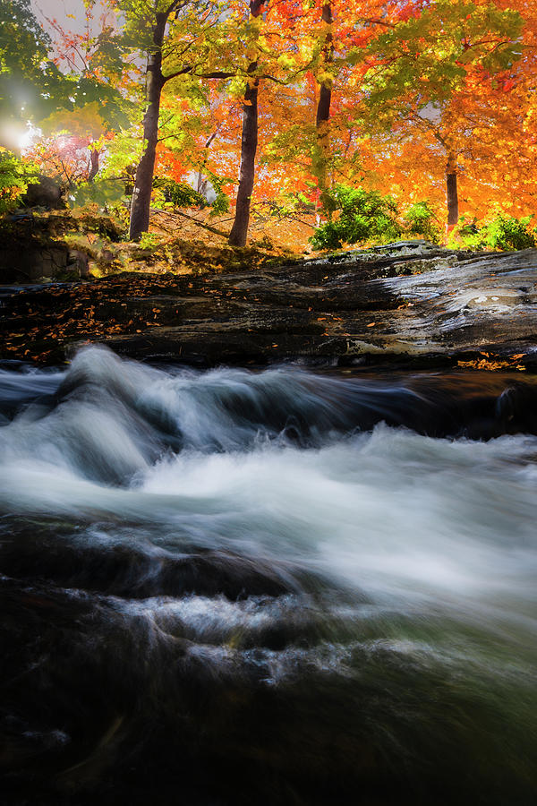 Autumn Water Beneath the Color Photograph by Theresa D Williams Autumn Water Beneath the Color Photograph by Theresa D Williams