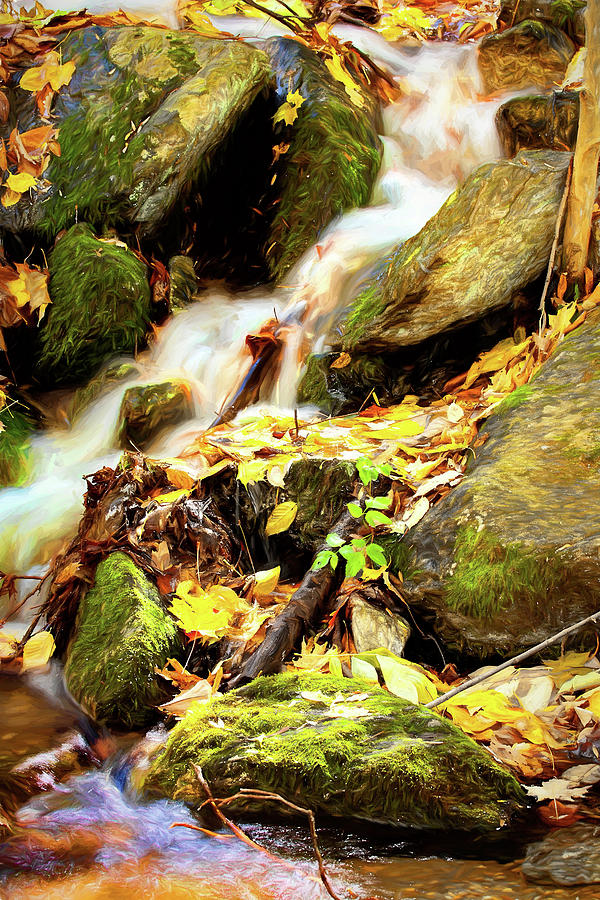 Autumn Water Flow 4 Photograph by Dan Carmichael