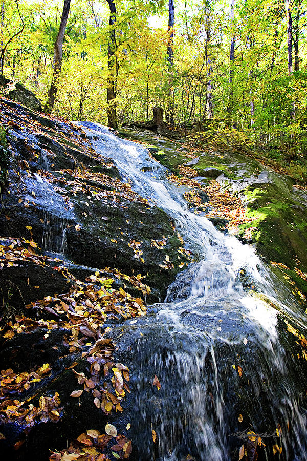 Autumn Waterfall 1 Photograph by Alan Hausenflock