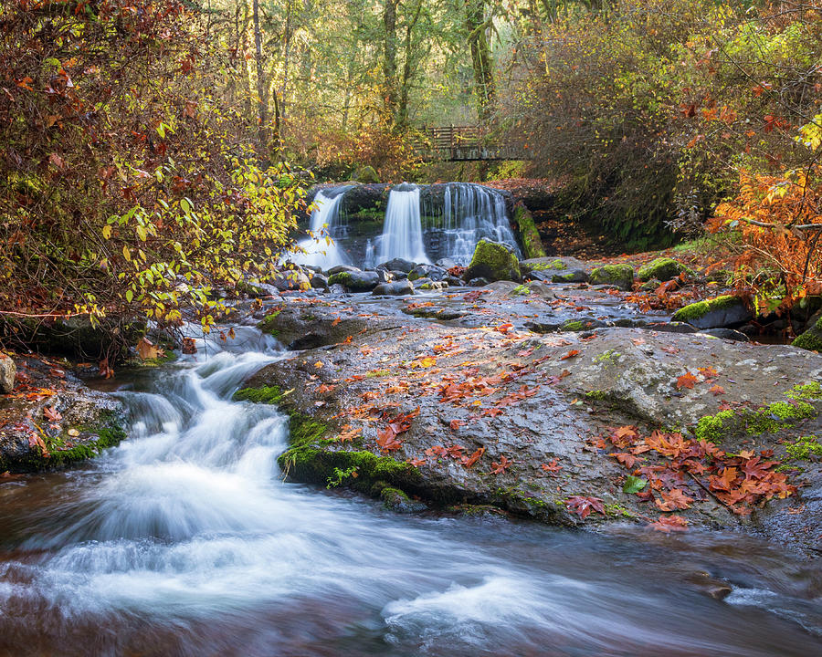 Autumn Waterfall Photograph by Catherine Avilez