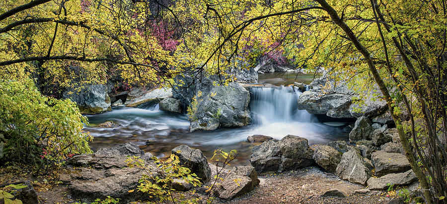 Autumn Waterfall Idaho Photograph by Leland D Howard