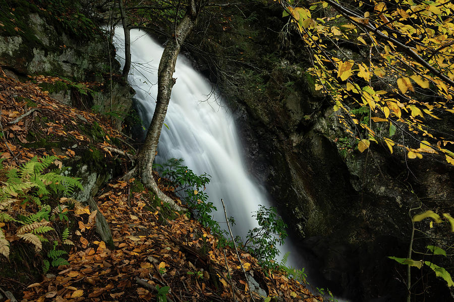 Autumn Waterfall Photograph by Jody Partin