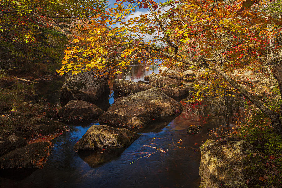 Autumn Waterway Vista Photograph by Irwin Barrett