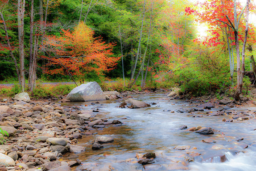 Autumn West Virginia Shallow Rocky River Photograph by Dan Carmichael