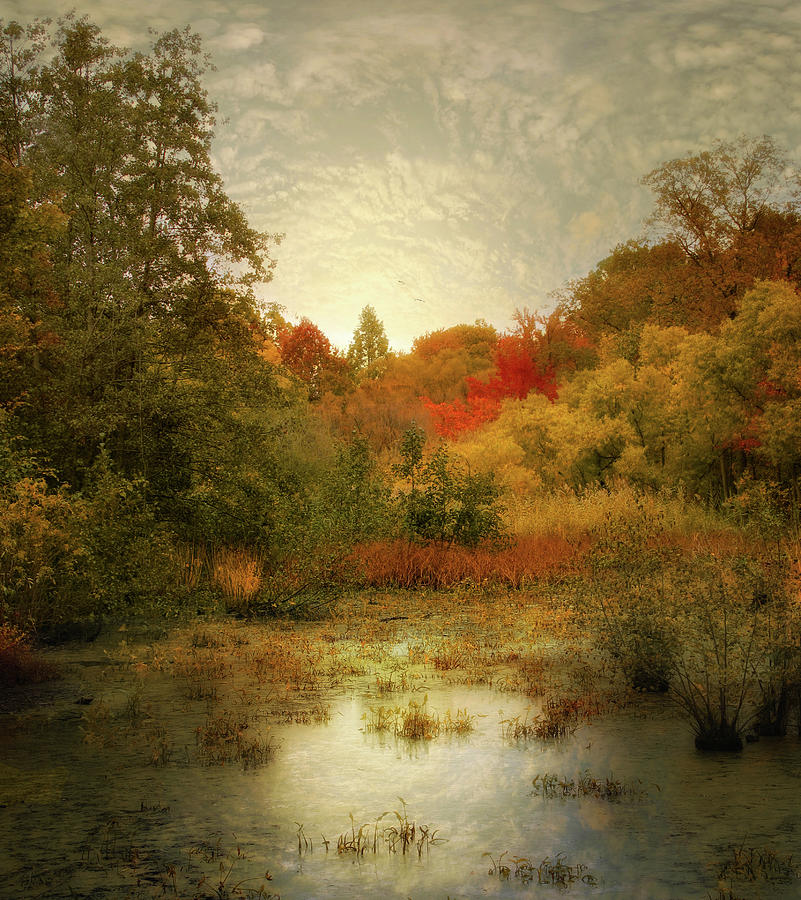 Autumn Wetlands Photograph by Jessica Jenney