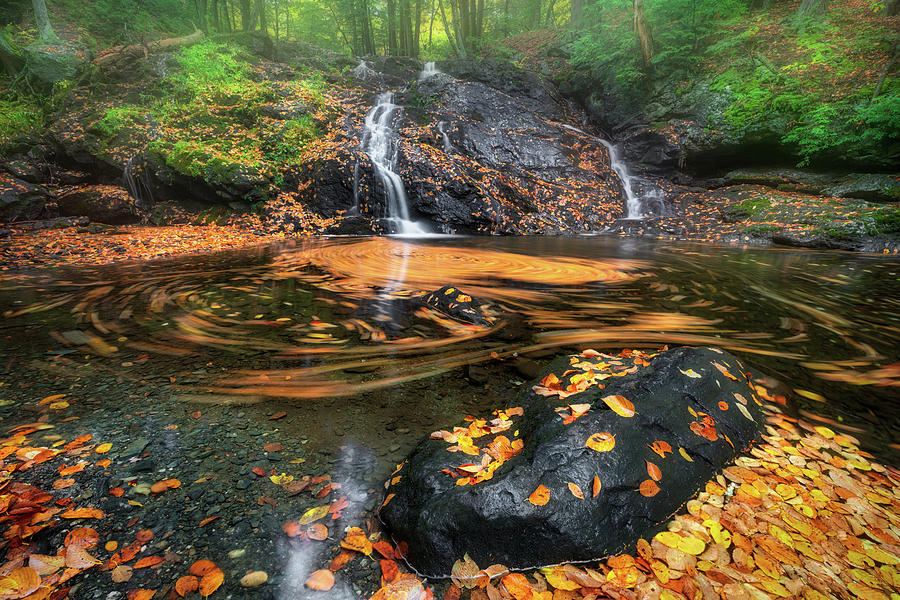 Autumn Whirlpool Photograph by Bill Wakeley