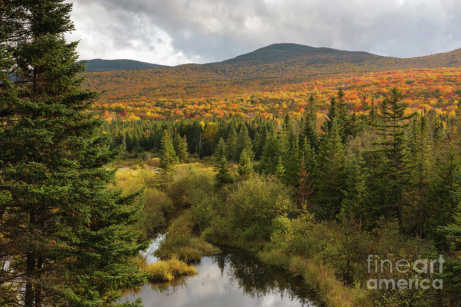 Autumn - White Mountains New Hampshire Photograph by Erin Paul Donovan