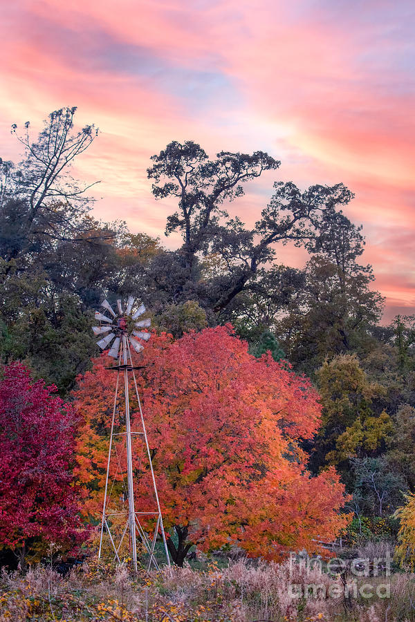 Autumn Windmill at Sunset  Photograph by Leslie Wells