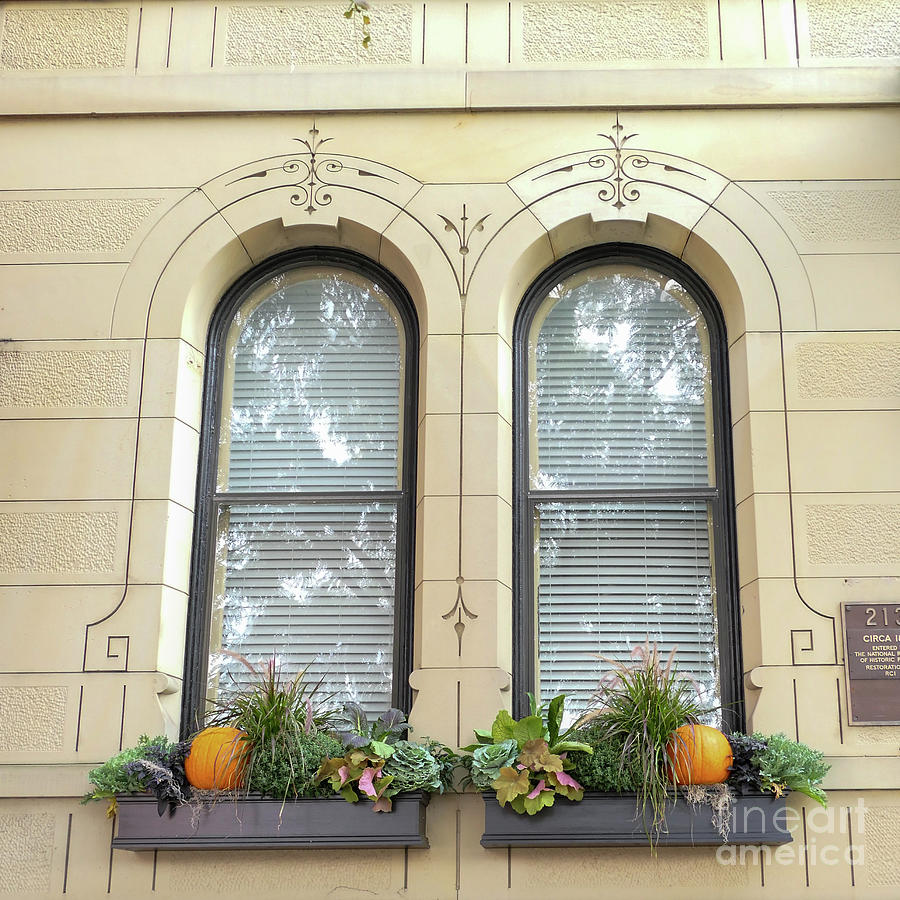 Autumn Window Boxes Photograph by Bentley Davis