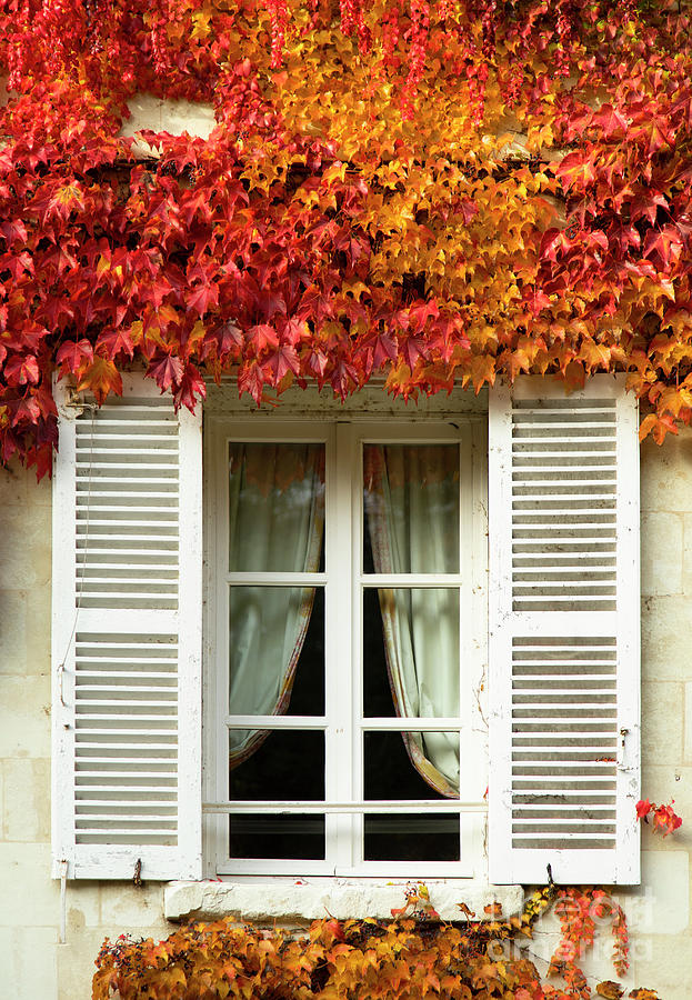 Autumn Window Views French Chateau Region The Loire Valley Amboise France Photograph by Wayne Moran