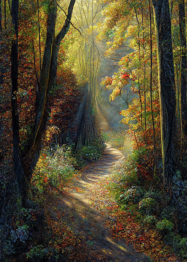 Nature Digital Art - Autumn Woodland II by Harold Ninek