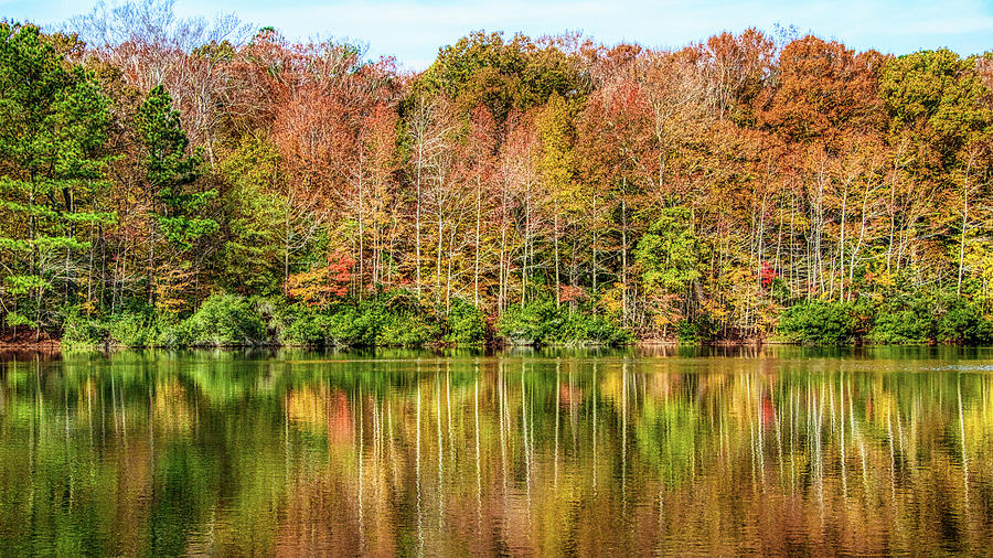 Autumn Woodland Water Reflections  Photograph by Robert Anastasi