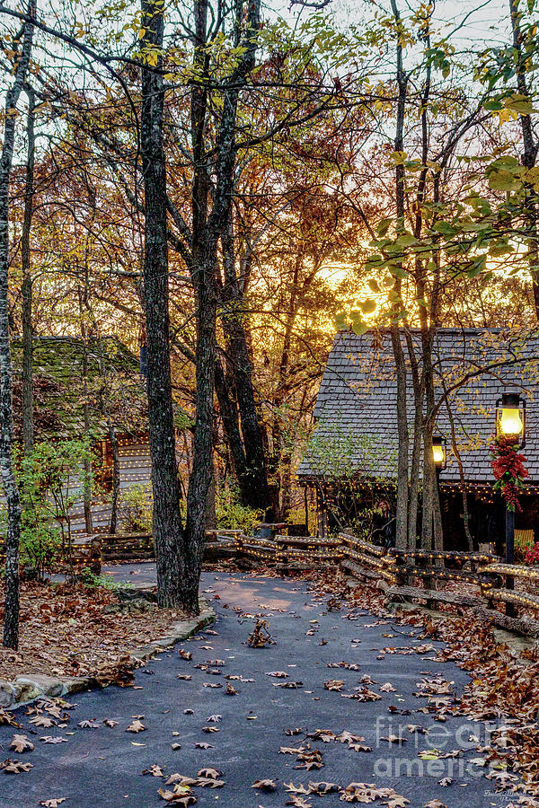 Autumn Woods Sunset Walkway Photograph by Jennifer White