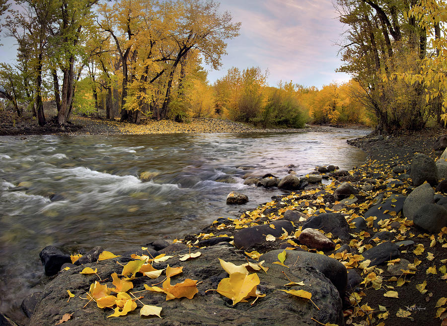 Autumn Yellow River Photograph by Leland D Howard