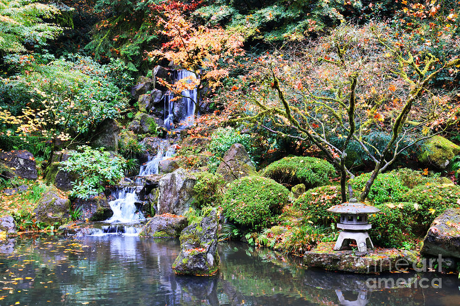 Autumn Zen Photograph