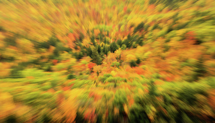 Autumn Zoom Natural Abstract Photograph by Dan Sproul
