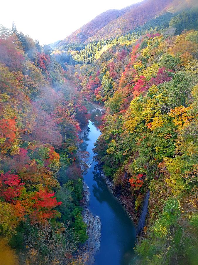 Autumn3 Photograph by Keiko Morita - Fine Art America