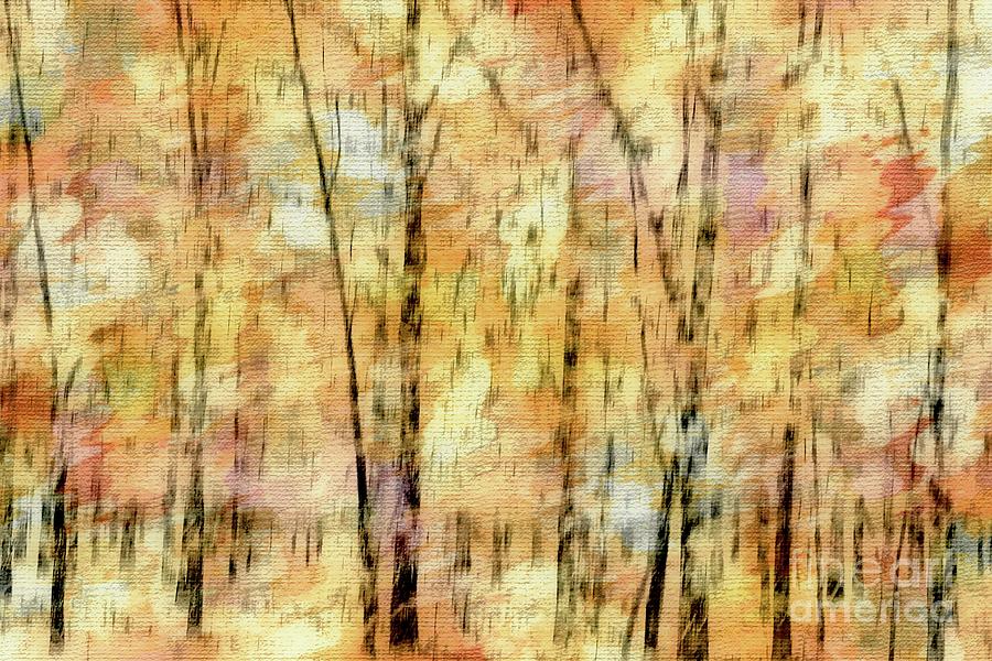 Autumnal Abstraction Photograph by Benanne Stiens