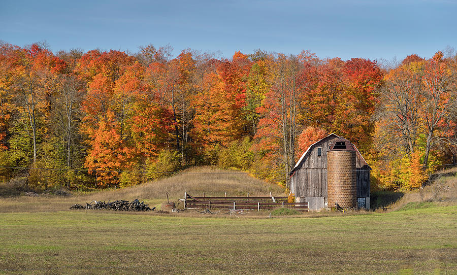 Autumnal Barn and Silo Photograph by Greg Nyquist
