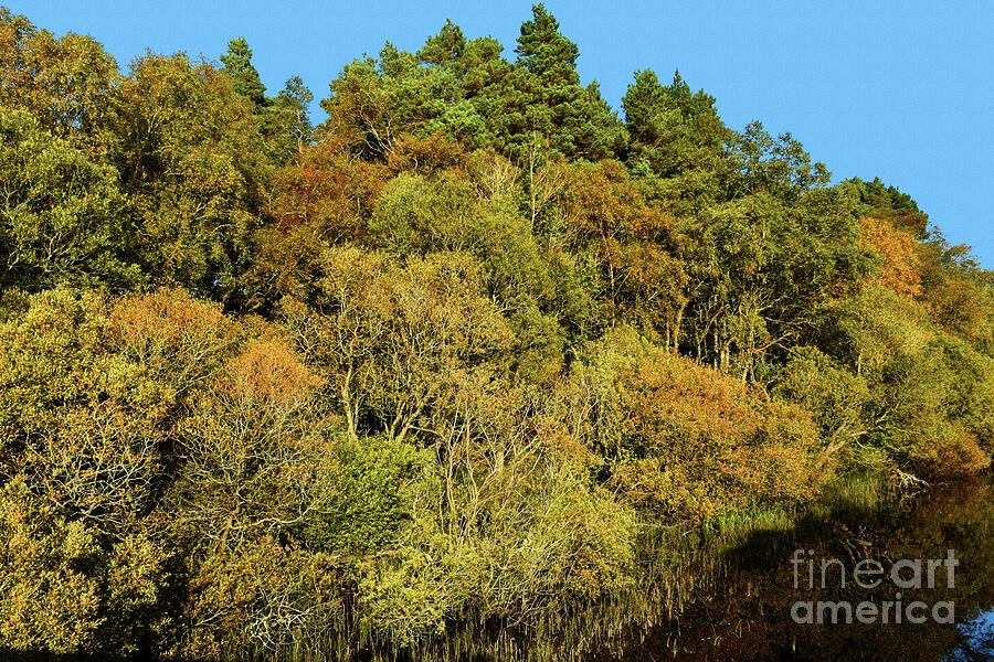 Autumnal Changes - Pentland Hills Regional Park Photograph by Yvonne Johnstone