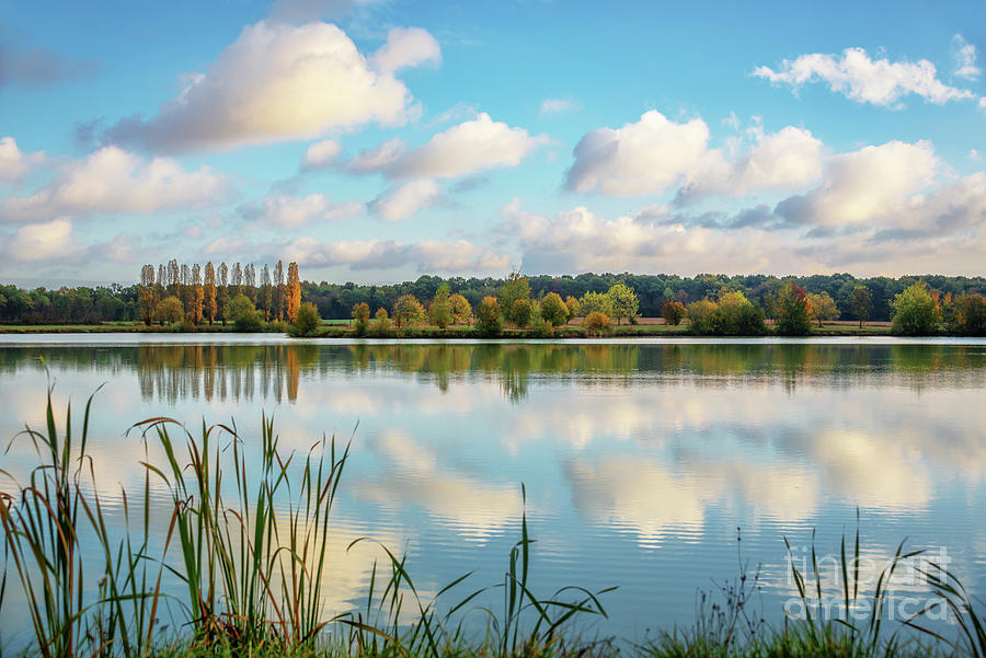 Reflections in a lake, Burgundy, France Photograph by Delphimages Photo Creations