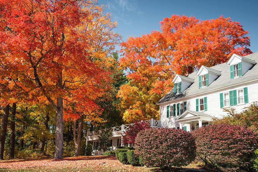 autumnal tree and residence in Vermont Photograph by Franckreporter