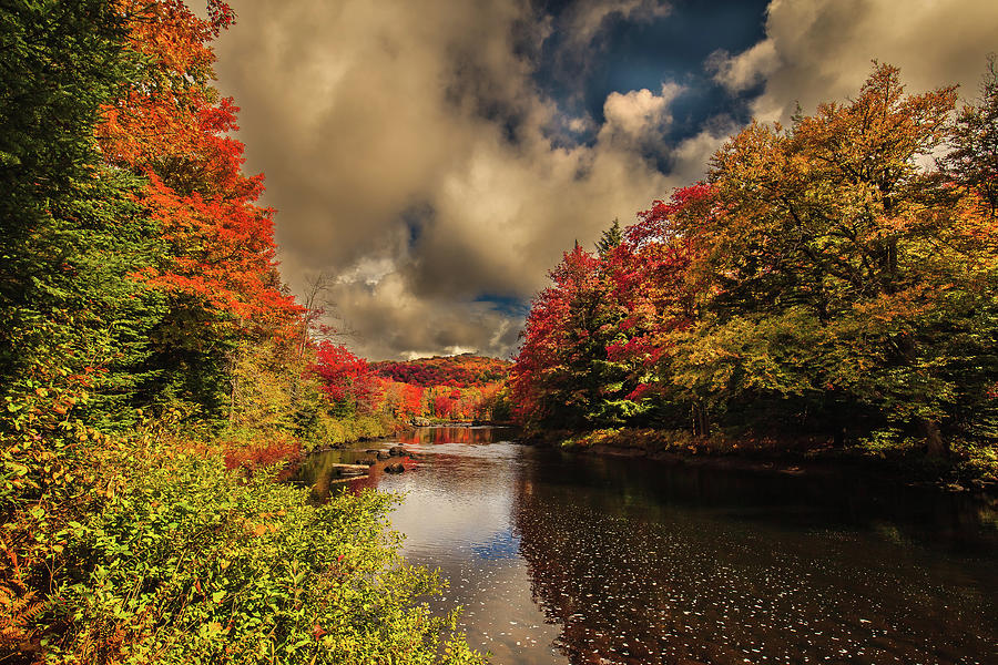 Autumnal View on the River Photograph by David Patterson