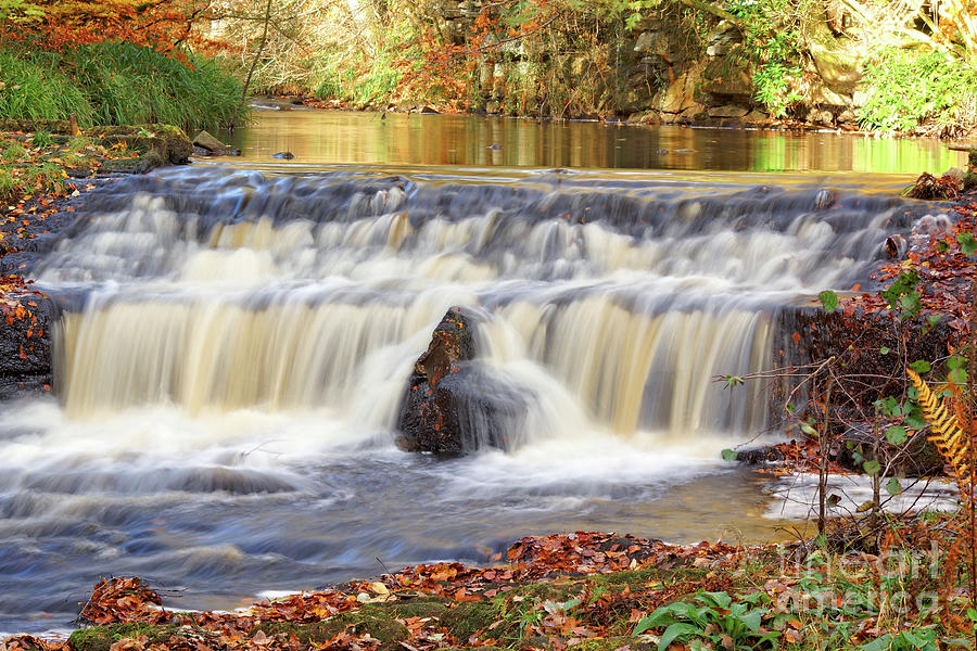 Autumnal Woodland Stream Photograph by David Birchall