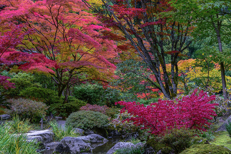 Autumns Color Palette Photograph by Emerita Wheeling