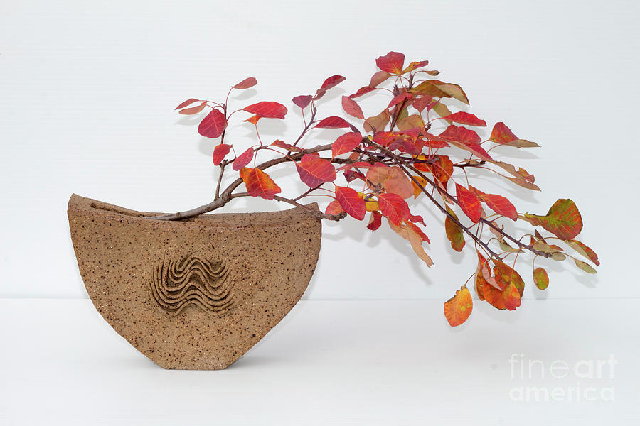 Autumns elegant beauty Ceramic Art by Linda Lees