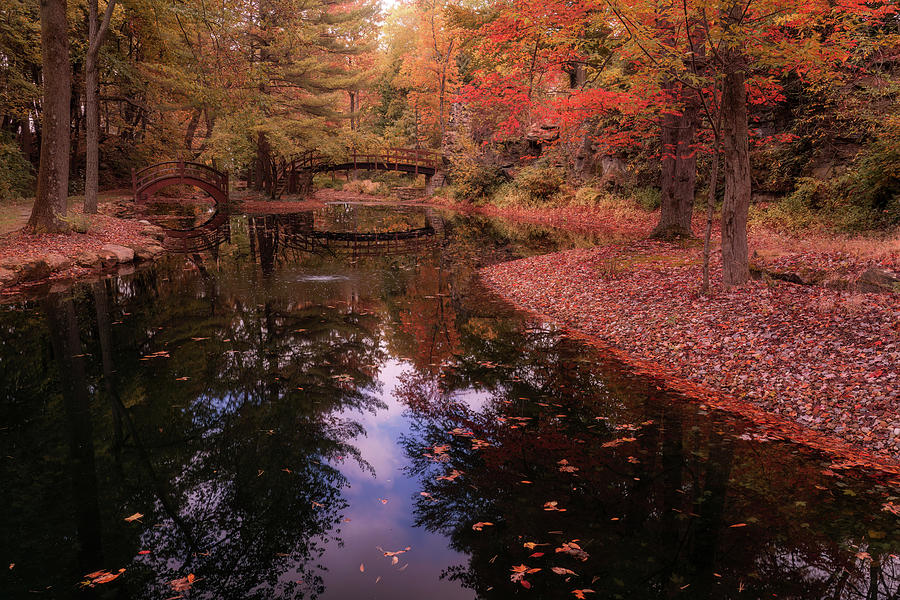 Autumns Garden Splendor Photograph by Arthur Oleary