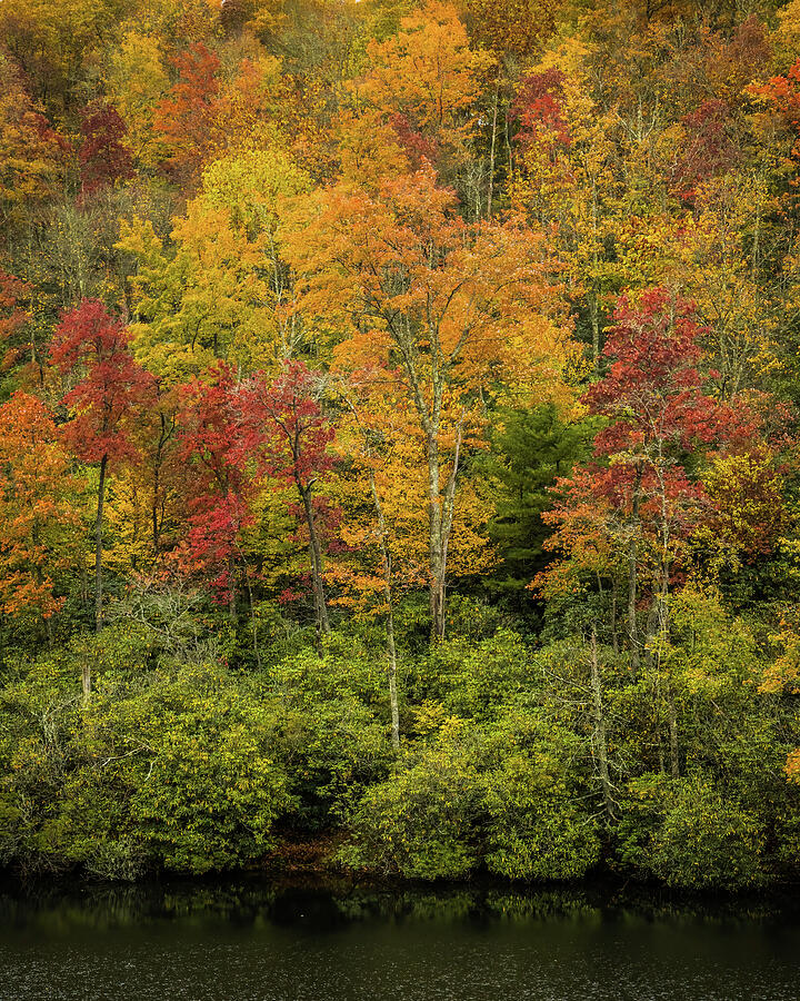 Autumns Glory Photograph by Dodie Ross Autumns Glory Photograph by Dodie Ross